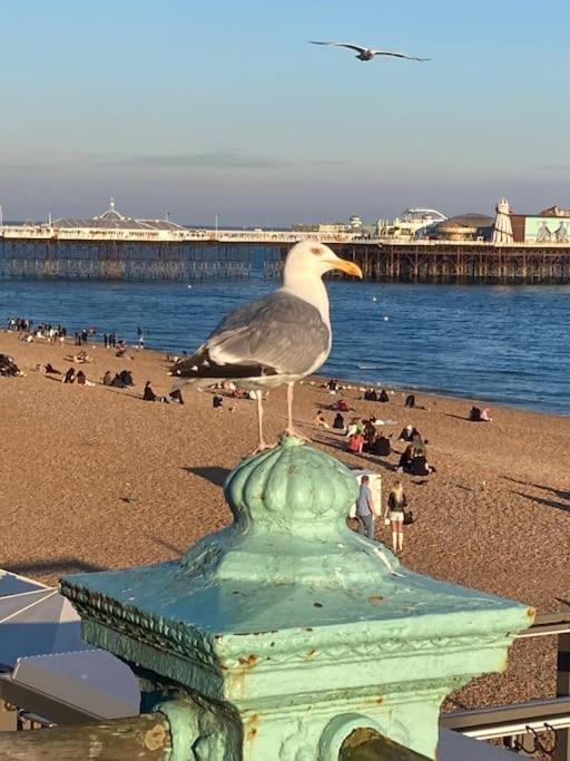 Regency Brighton Seafront Apartment Exterior foto